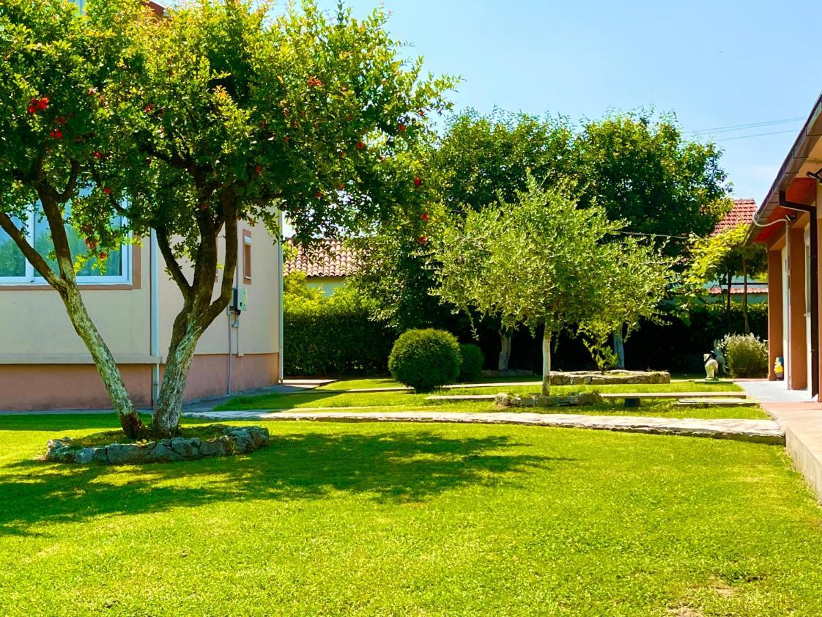 Apartment Helena Airport Podgoriçe Dış mekan fotoğraf